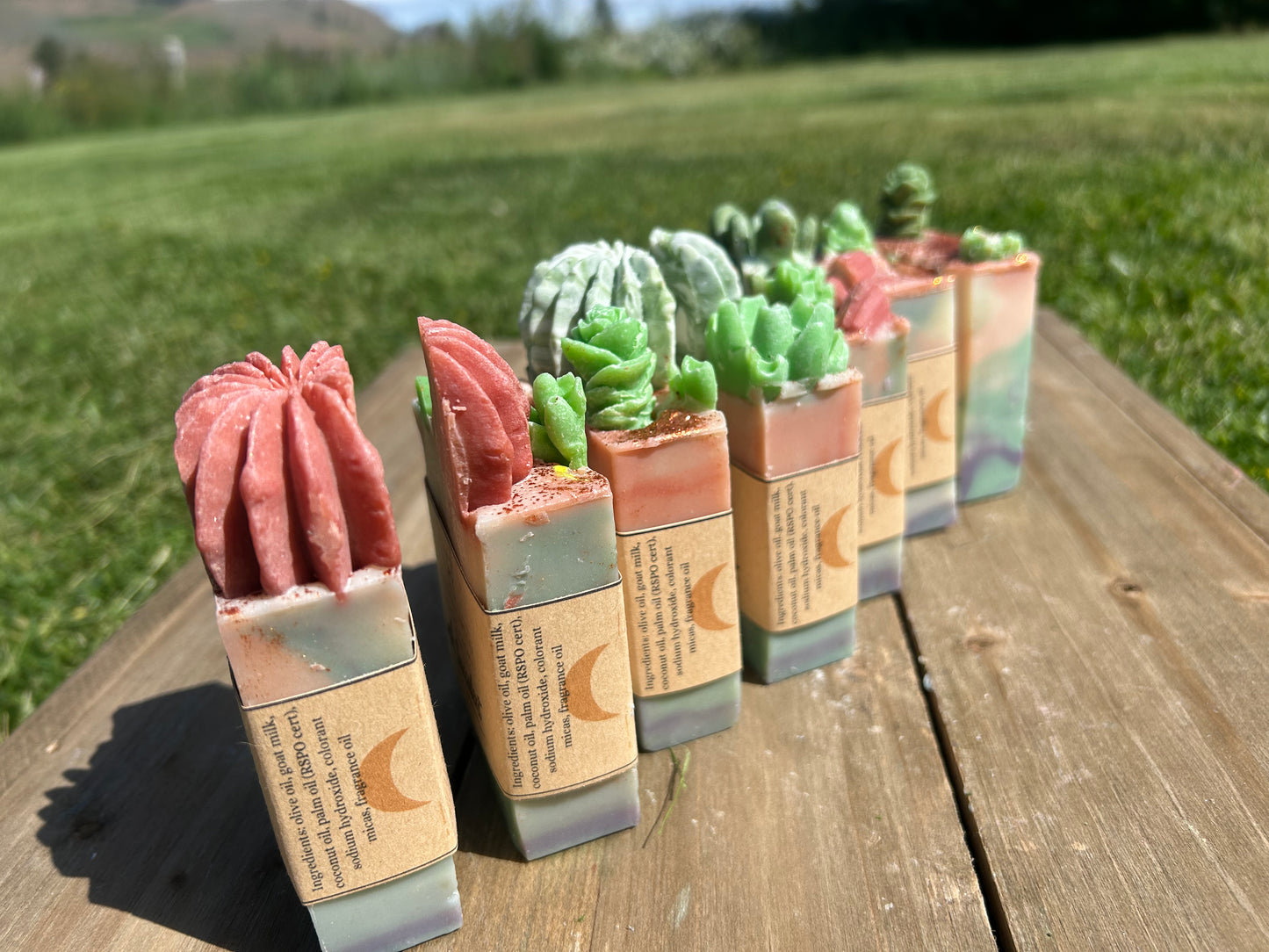 lush succulent fragrance oil Lush Succulent – Solstice Soaps Co