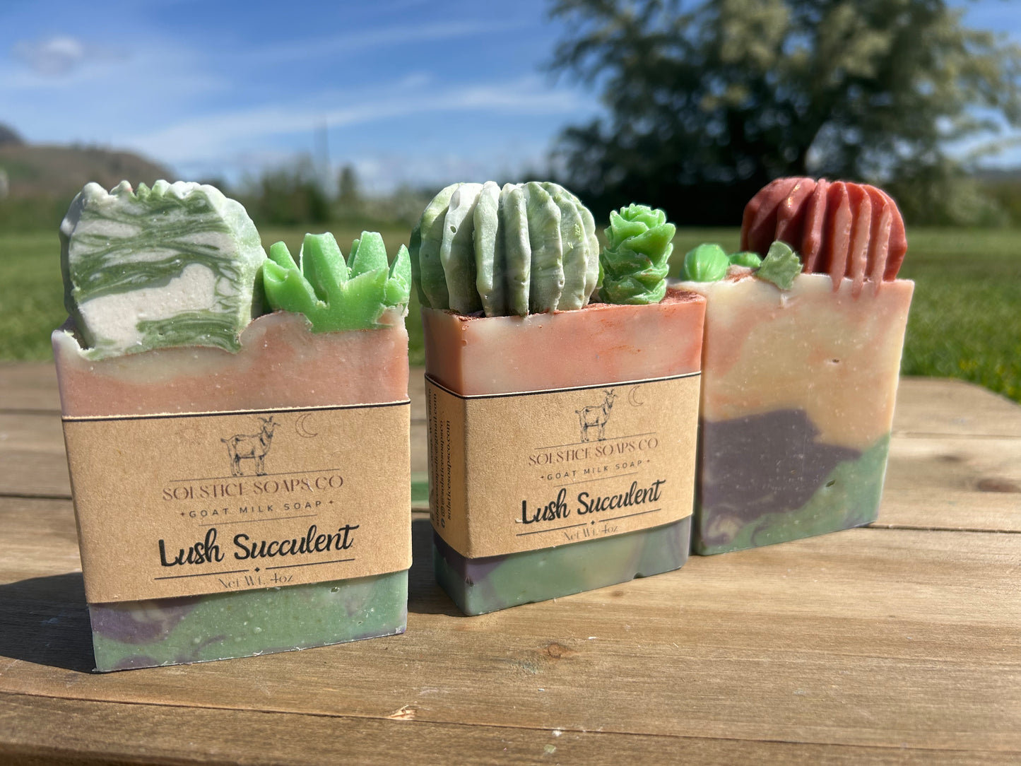 lush succulent Lush Succulent – Solstice Soaps Co